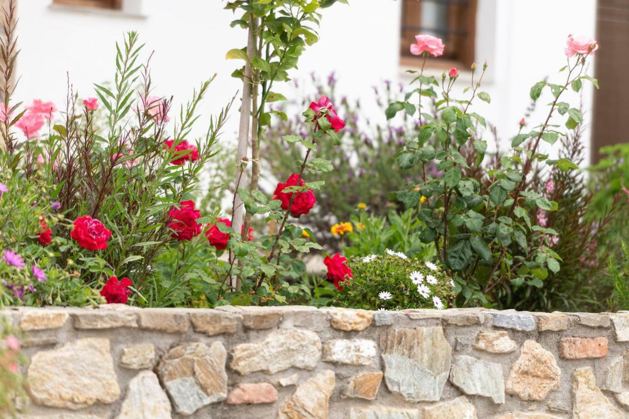 Appartement Garden House Psarogiannis à Vourvourou Extérieur photo