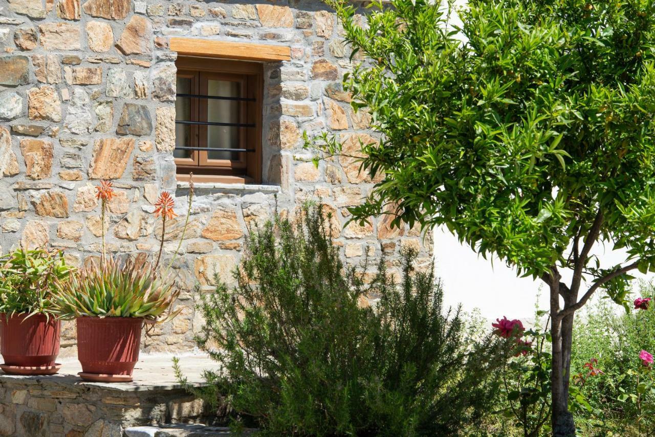 Appartement Garden House Psarogiannis à Vourvourou Extérieur photo