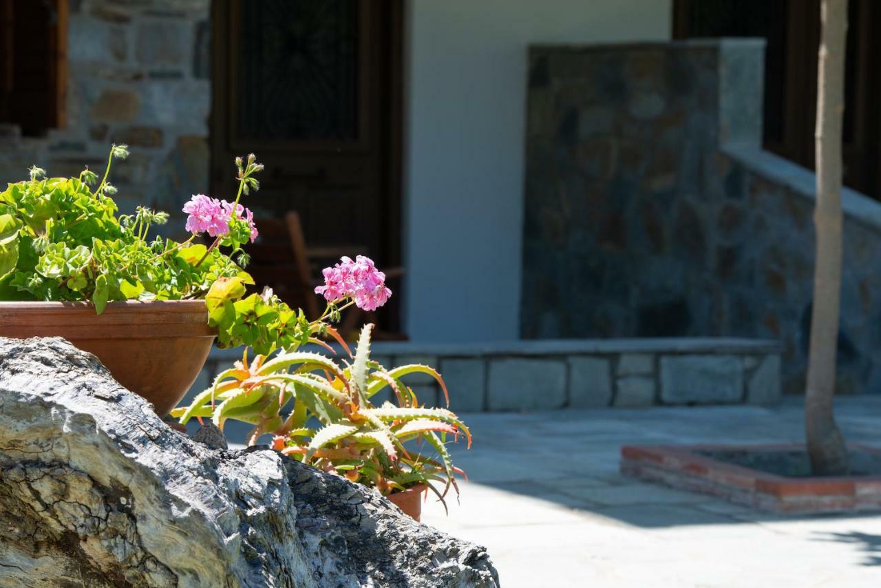 Appartement Garden House Psarogiannis à Vourvourou Extérieur photo
